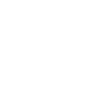 Flurry logo